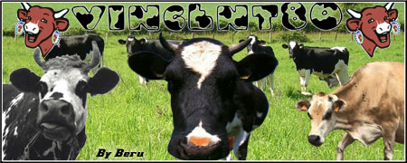petite explication Sign-vaches